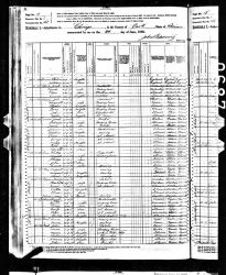 1880 US Census - Household of Adolph Peterson