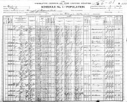 1900 US Census - Household of Henry DeVries