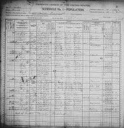 1900 US Census - Household of Hans Hanson