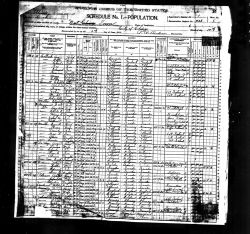 1900 US Census - Household of Adolph Peterson