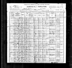 1900 US Census - Household of Ernest Peterson