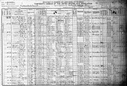 1910 US Census - Household of William C. Bible