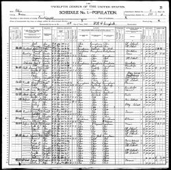 1900 US Census - Household of Henry Knotts